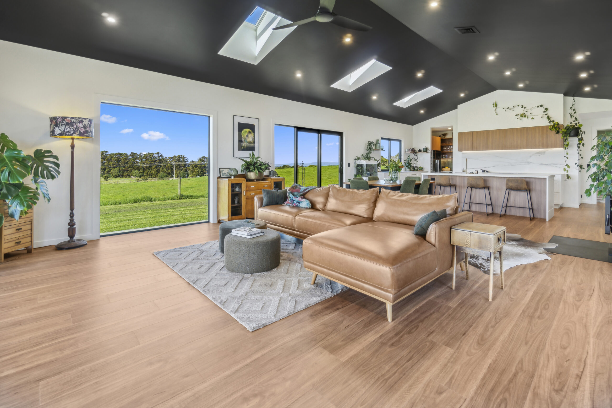 091 collection for ncs id2493